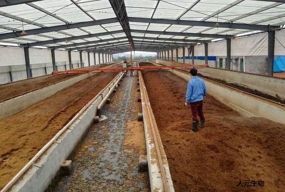 一名妇女展示收获的番茄