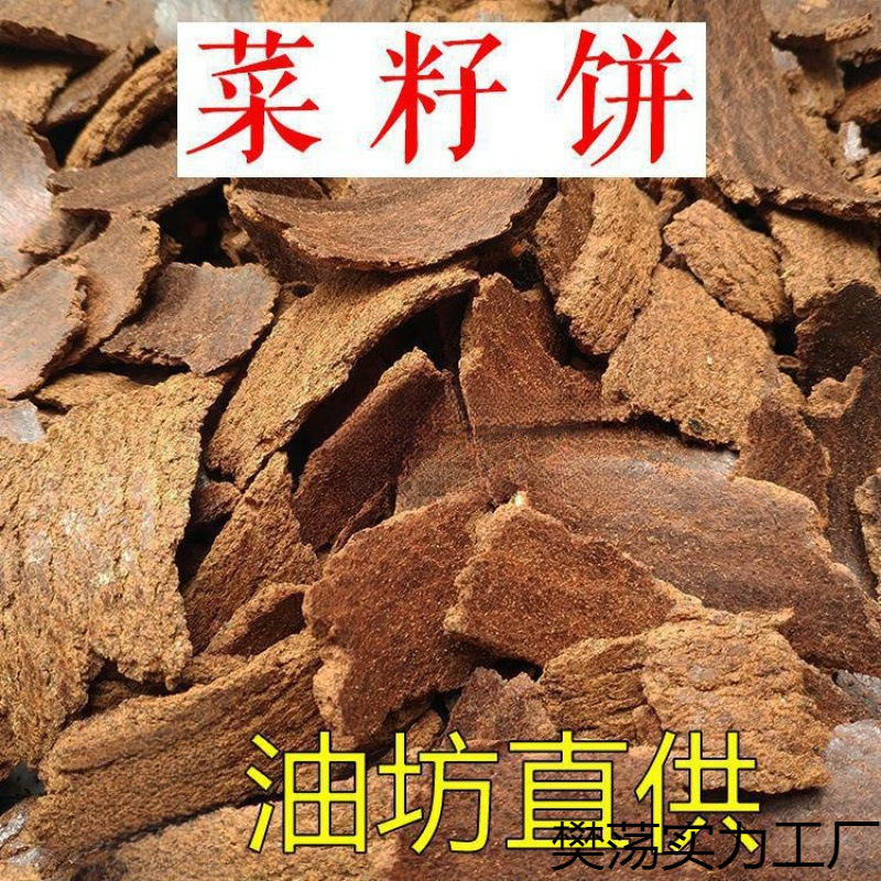 企业需从单一产品供应商转型为“土壤-作物解决方案提供商”